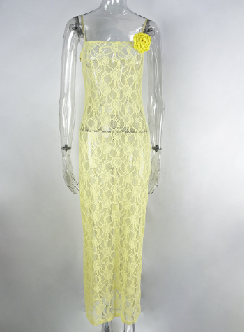 Sheer Lace Maxi Dress