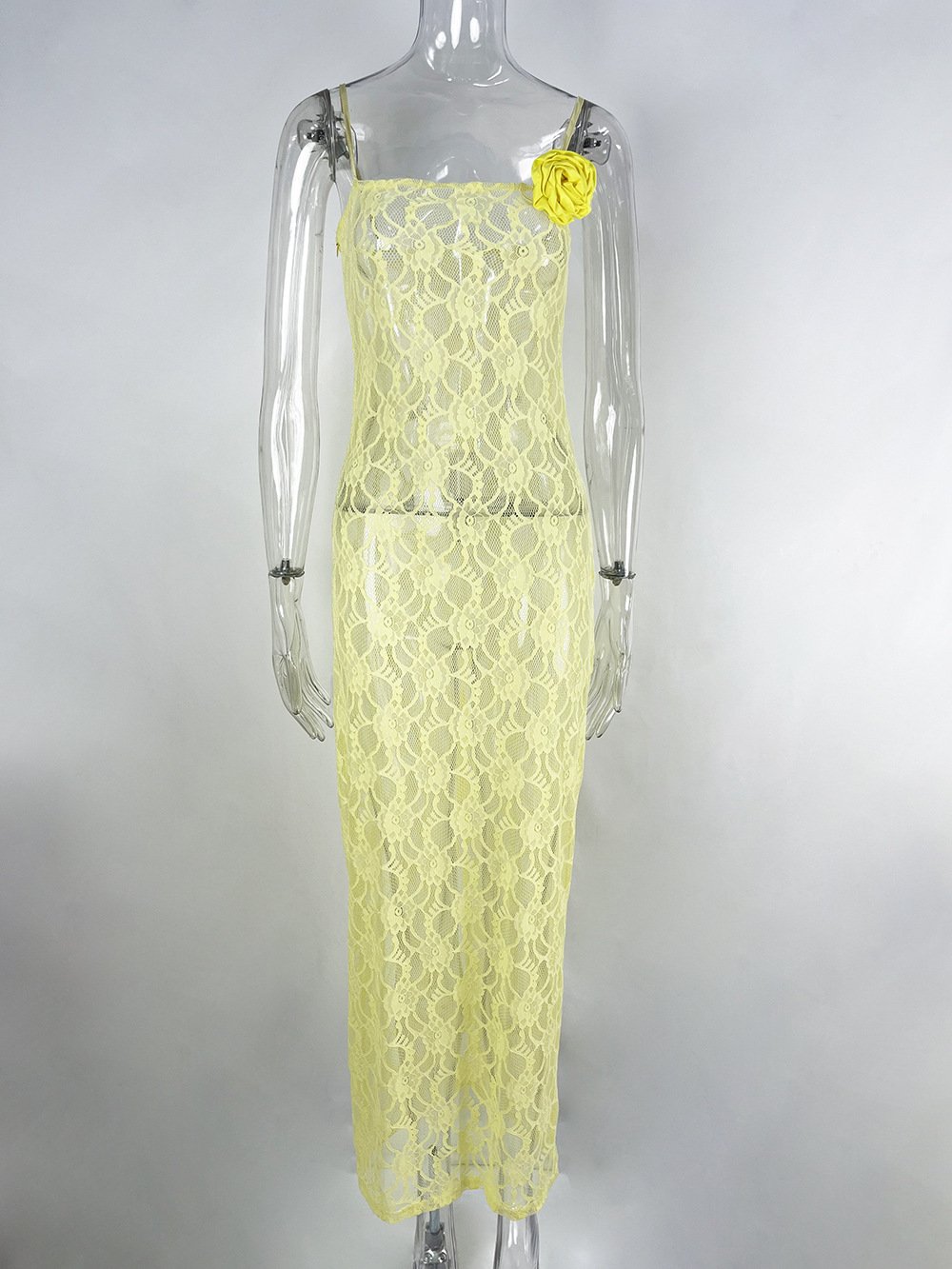Sheer Lace Maxi Dress